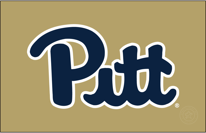 Pittsburgh Panthers 2016-2019 Primary Dark Logo v2 diy iron on heat transfer